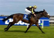 10 April 2005; Bobs Pride, with Pat Smullen up, on their way to winning the P.W.McGrath Memorial Ballysax Stakes. Leopardstown Racecourse, Dublin. Picture credit; Damien Eagers / SPORTSFILE