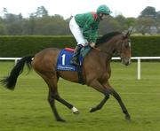 10 April 2005; Alayan with Mick Kinane up canters to the start of the Leopardstown 2,000 Guineas Trial Stakes. Leopardstown Racecourse, Dublin. Picture credit; Damien Eagers / SPORTSFILE