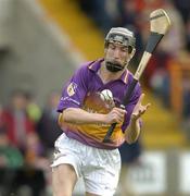 10 April 2005; Redmond Barry, Wexford. Allianz National Hurling League, Division 1, Wexford v Galway, Wexford Park, Wexford. Picture credit; Matt Browne / SPORTSFILE
