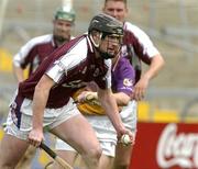 10 April 2005; Liam Hodgins, Galway. Allianz National Hurling League, Division 1, Wexford v Galway, Wexford Park, Wexford. Picture credit; Matt Browne / SPORTSFILE