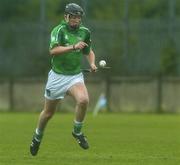 17 April 2005; Donal O'Grady, Limerick. Allianz National Hurling League, Division 1, Relegation Section, Dublin v Limerick, Parnell Park, Dublin. Picture credit; David Levingstone / SPORTSFILE