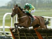 21 April 2005; Be With Me Now, with Conor O'Dwyer up, on their way to winning the Herronville Maiden Hurdle. Gowran Park, Co. Kilkenny. Picture credit; Matt Browne / SPORTSFILE