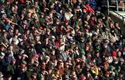 21 January 1995; Ireland supporters during the Five Nations Championship match between Ireland and England at Lansdowne Road in Dublin. Photo by David Maher/Sportsfile