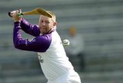 24 April 2005; Damien Fitzhenry, Wexford. Allianz National Hurling League, Division 1, Round 3, Wexford v Clare, Wexford Park, Wexford. Picture credit; Matt Browne / SPORTSFILE