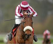 23 January 2014; Mala Beach, with Robbie Colgan up, on their way to winning the John Mulhern Galmoy Hurdle. Gowran Park, Gowran, Co. Kilkenny. Picture credit: Matt Browne / SPORTSFILE