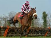 23 January 2014; Mala Beach, with Robbie Colgan up, on their way to winning the John Mulhern Galmoy Hurdle after jumping the last. Gowran Park, Gowran, Co. Kilkenny. Picture credit: Matt Browne / SPORTSFILE