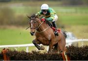 23 January 2014; Never Enough Time, with Ger Fox up, jumps the last on their way to winning the Martinstown Opportunity Handicap Hurdle. Gowran Park, Gowran, Co. Kilkenny. Picture credit: Matt Browne / SPORTSFILE