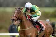 23 January 2014; Never Enough Time, with Ger Fox up, on their way to winning the Martinstown Opportunity Handicap Hurdle. Gowran Park, Gowran, Co. Kilkenny. Picture credit: Matt Browne / SPORTSFILE