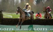 23 January 2014; On His Own, with Paul Townend up, jumps the last on their way to winning the Goffs Thyestes Handicap Steeplechase. Gowran Park, Gowran, Co. Kilkenny. Picture credit: Matt Browne / SPORTSFILE