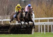 25 January 2014; Vic Dancer, with Ger Fox up, left, leads Ellie Mia, with Andrew Lynch up, over the first hurdle of the leopardstown.com Mares Maiden Hurdle. Leopardstown Racecourse, Leopardstown, Co. Dublin. Picture credit: Ramsey Cardy / SPORTSFILE