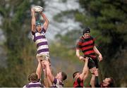 29 January 2014; Williams Connors, Clongowes Wood College, wins possession for his side in a lineout ahead of Gavin Hastings, Kilkenny College. Beauchamps Leinster Schools Senior Cup, 1st Round, Clongowes Wood College v Kilkenny College, NUI Maynooth, Maynooth, Co. Kildare. Picture credit: David Maher / SPORTSFILE