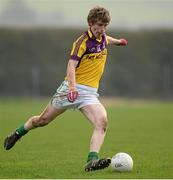 30 January 2014; Donal Shanley, St. Peter’s Wexford. Leinster Schools Senior Football A Championship, Round 2, St. Peter’s Wexford v Colaiste Mhuire Mullingar, Stradbally GAA Grounds, Stradbally, Co. Laois. Picture credit: Matt Browne / SPORTSFILE