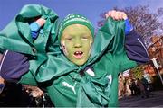 2 February 2014; Ireland supporters Keith Byrne, aged 8, from Rathfarnham, Co. Dublin at the game. RBS Six Nations Rugby Championship, Ireland v Scotland, Aviva Stadium, Lansdowne Road, Dublin. Photo by Sportsfile