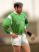4 April 1999; James Moran of Limerick during the Church and General National Hurling League Division 1A match between Dublin and Limerick at Parnell Park in Dublin. Photo by Ray McManus/Sportsfile