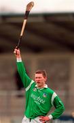 4 April 1999; Mark Foley of Limerick during the Church and General National Hurling League Division 1A match between Dublin and Limerick at Parnell Park in Dublin. Photo by Ray McManus/Sportsfile