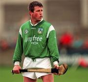 4 April 1999; Mike Houlihan  of Limerick during the Church and General National Hurling League Division 1A match between Dublin and Limerick at Parnell Park in Dublin. Photo by Ray McManus/Sportsfile