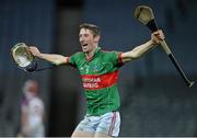 8 February 2014; Joe Lyng, Rower Inistioge, celebrates at the end of the game. AIB GAA Hurling All Ireland Intermediate Club Championship Final, Kilnadeema-Leitrim, Galway v Rower Inistioge, Kilkenny. Croke Park, Dublin. Picture credit: Ramsey Cardy / SPORTSFILE