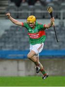 8 February 2014; Paul Sheehan, Rower Inistioge, celebrates at the end of the game. AIB GAA Hurling All Ireland Intermediate Club Championship Final, Kilnadeema-Leitrim, Galway v Rower Inistioge, Kilkenny. Croke Park, Dublin. Picture credit: Ramsey Cardy / SPORTSFILE