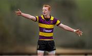 23 January 2014; Sean Stafford, CBS Wexford. Vinnie Murray Semi-Final, St. Gerard’s School v CBS Wexford. Wicklow RFC, Wicklow Town. Picture credit: Stephen McCarthy / SPORTSFILE