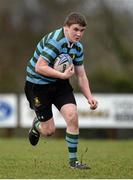 23 January 2014; Jack Ryan, St. Gerard’s School. Vinnie Murray Semi-Final, St. Gerard’s School v CBS Wexford. Wicklow RFC, Wicklow Town. Picture credit: Stephen McCarthy / SPORTSFILE