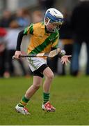 23 February 2014; Members of the Faughs GAA Club Under 11 hurling team play in an inter team game at half time during the Dublin v Clare, Allianz Hurling League, Division 1A Round 2, game at Parnell Park, Dublin. Picture credit: Stephen McCarthy / SPORTSFILE