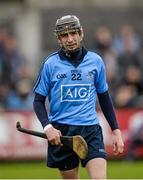 23 February 2014; Alan McCrabbe, Dublin. Allianz Hurling League, Division 1A, Round 2, Dublin v Clare, Parnell Park, Dublin. Picture credit: Stephen McCarthy / SPORTSFILE