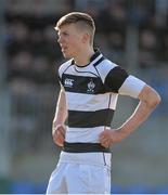 26 February 2014; Rory Clarke, Belvedere. Beauchamps Leinster Schools Junior Cup, Quarter-Final, Clongowes v Belvedere, Donnybrook Stadium, Donnybrook, Dublin. Picture credit: Matt Browne / SPORTSFILE