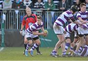 26 February 2014; Joe Murphy, Clongowes. Beauchamps Leinster Schools Junior Cup, Quarter-Final, Clongowes v Belvedere, Donnybrook Stadium, Donnybrook, Dublin. Picture credit: Matt Browne / SPORTSFILE