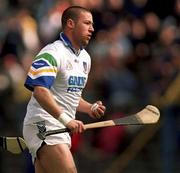 18 April 1999; Dan Shanahan of Waterford during the Church and General National Hurling League Division 1B match between Tipperary and Waterford at Semple Stadium in Thurles, Tipperary. Photo by Brendan Moran/Sportsfile