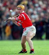 18 April 1999; Joe Deane of Cork during the Church & General National Hurling League Division 1B match between Wexford and Cork at Páirc Uí Shíocháin in Gorey, Wexford. Photo by Ray McManus/Sportsfile