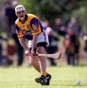 18 April 1999; Martin Storey of Wexford during the Church & General National Hurling League Division 1B match between Wexford and Cork at Páirc Uí Shíocháin in Gorey, Wexford. Photo by Ray McManus/Sportsfile