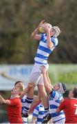 27 February 2014; Charlie Ryan, Blackrock College, wins possession in a lineout. Beauchamps Leinster Schools Junior Cup, Quarter-Final, Blackrock College v CUS, Donnybrook Stadium, Donnybrook, Dublin. Picture credit: Piaras Ó Mídheach / SPORTSFILE