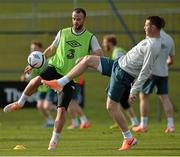 4 March 2014; Republic of Ireland's Marc Wilson, left, and James McCarthy during squad training ahead of their International Friendly against Serbia on Wednesday. Republic of Ireland Squad Training, Gannon Park, Malahide, Co. Dublin. Picture credit: David Maher / SPORTSFILE