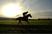 10 March 2014; Shanahan's Turn, with Andrew Lynch up, on the gallops ahead of the Cheltenham Racing Festival 2014. Prestbury Park, Cheltenham, England. Picture credit: Barry Cregg / SPORTSFILE