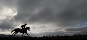 11 March 2014; A general view of a horse on the gallops before the opening of the Cheltenham Racing Festival 2014, Prestbury Park, Cheltenham, England. Picture credit: Ramsey Cardy / SPORTSFILE