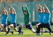 11 March 2014; Ireland's Peter O'Mahony, centre, with, from left to right, Richardt Strauss,  Eoin Reddan, Dave Kilcoyne and Darren Cave during squad training ahead of their side's RBS Six Nations Rugby Championship match against France on Saturday. Ireland Rugby Squad Training, Carton House, Maynooth, Co. Kildare. Picture credit: David Maher / SPORTSFILE