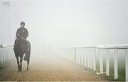 13 March 2014; Lindenhurst, with Paddy Dunne up, make their way from the gallops ahead of the days races. Cheltenham Racing Festival 2014, Prestbury Park, Cheltenham, England. Picture credit: Barry Cregg / SPORTSFILE