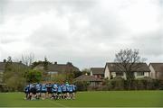 17 March 2014; A general view during Leinster squad training ahead of their Celtic League 2013/14, Round 17, game against Zebre on Friday. Leinster Rugby Squad Training and Media Briefing, Rosemount, UCD, Belfield, Dublin. Picture credit: David Maher / SPORTSFILE