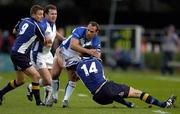 22 October 2005; David Bory, Bath, is tackled by Kieran Lewis, Leinster. Heineken Cup 2005-2006, Pool 5, Round 1, Leinster v Bath. RDS, Ballsbridge, Dublin. Picture credit: Brendan Moran / SPORTSFILE