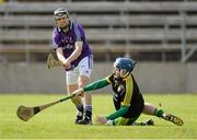 13 April 2014; John Matthew Sheridan, Fingal, has his shot saved by Donegal goalkeeper Paul Burns. Allianz Hurling League Roinn 2B 014 Promotion / Relegation Final, Fingal v Donegal, Kingspan Breffni Park, Cavan. Picture credit: Oliver McVeigh / SPORTSFILE