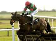 22 January 2006; Code Of Rules, with Barry Geraghty up, clears the last on their way to winning the Kehoe Ceilings & Partitions Maiden Hurdle. Fairyhouse Racecourse, Co. Meath. Picture credit: Pat Murphy / SPORTSFILE