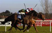 29 January 2006; Eventual winner Vintage Gold, with Tony McCoy up, 12, races alongside Shindlers Hunt, with Conor O'Dwyer, on their way to winning the Frank Conroy Memorial Maiden Hurdle. Leopardstown Racecourse, Co. Dublin. Picture credit: Pat Murphy / SPORTSFILE