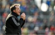 20 April 2014; Clare manager Davy Fitzgerald. Allianz Hurling League Division 1 semi-final, Clare v Tipperary, Gaelic Grounds, Limerick. Picture credit: Diarmuid Greene / SPORTSFILE