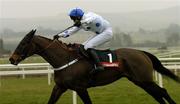 5 February 2006; Central House, with Roger Loughran up, on their way to winning the Byrne Group Plc Tied Cottage Steeplechase. Punchestown Racecourse, Co. Kildare. Picture credit; Ciara Lyster / SPORTSFILE