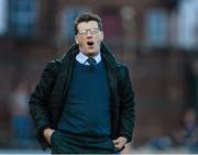 25 April 2014; Derry City Manager Roddy Collins reacts to a missed goal chance. Airtricity League Premier Division, Derry City v UCD, Brandywell, Derry. Picture credit: Oliver McVeigh / SPORTSFILE