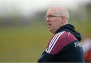 27 April 2014; Brian Hanley, Westmeath manager. GAA All-Ireland Senior Hurling Championship Qualifier Group - Round 1, Antrim vWestmeath. Ballycastle, Co. Antrim Picture credit: Oliver McVeigh / SPORTSFILE