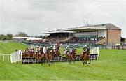 30 April 2014; Nearly Nama'D, right, with Ian McCarthy up, leads the field after jumping the fouth during the Martinstown Opportunity Series Final Handicap Hurdle. Punchestown Racecourse, Punchestown, Co. Kildare. Picture credit: Barry Cregg / SPORTSFILE