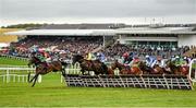 30 April 2014; Carraig Mor, with Wayne Hutchinson up, leads the field over the fifth during the Louis Fitzgerald Hotel Hurdle. Punchestown Racecourse, Punchestown, Co. Kildare. Picture credit: Barry Cregg / SPORTSFILE