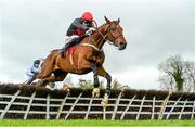 30 April 2014; Le Vent D'Antan, with Davy Russell up, jumps the last on their way to winning the Louis Fitzgerald Hotel Hurdle. Punchestown Racecourse, Punchestown, Co. Kildare. Picture credit: Matt Browne / SPORTSFILE