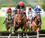 30 April 2014; Le Vent D'Antan, with Davy Russell up, jumps the last on their way to winning the Louis Fitzgerald Hotel Hurdle. Punchestown Racecourse, Punchestown, Co. Kildare. Picture credit: Matt Browne / SPORTSFILE